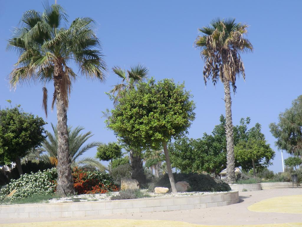 فيلا Casa En La Costa تورّيفيِخا المظهر الخارجي الصورة